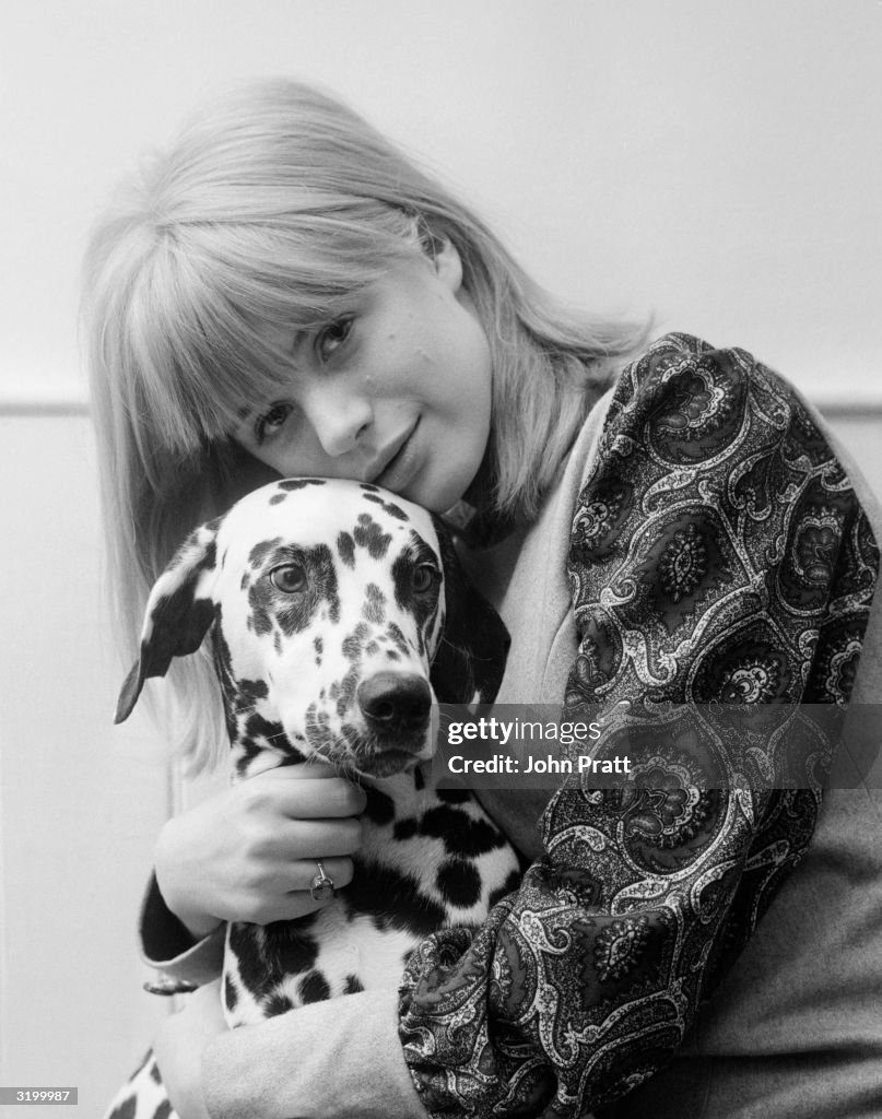 Bingley And Faithfull