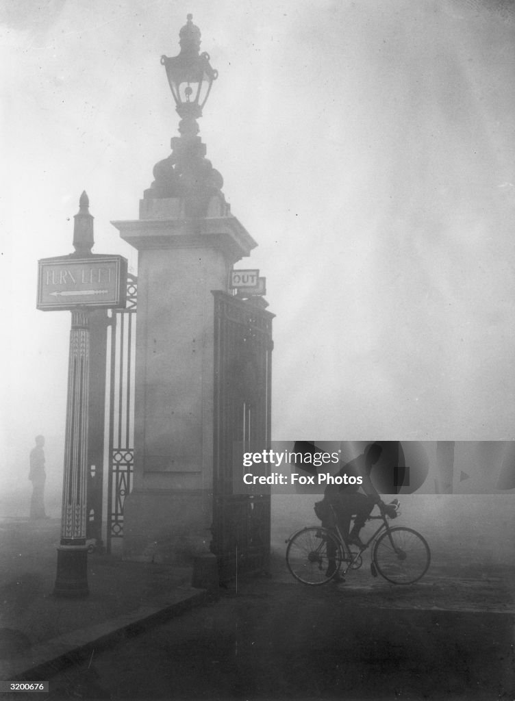 Pea Souper
