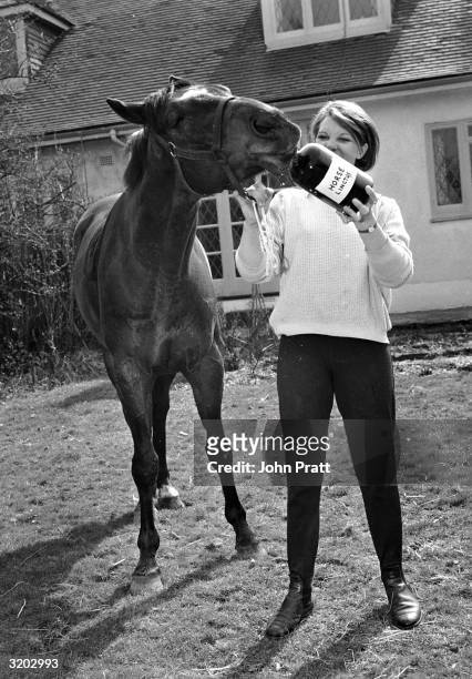 Susan Sangor of Sanderstead in Surrey administers cough drops from a bottle labelled 'Horse Linctus' to ex-racehorse, Bayleaf. The animal is...