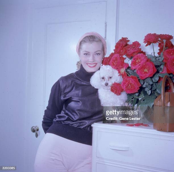 Portrait of Swedish actor Anita Ekberg leaning on a white bureau, upon which sits a white toy poodle and a large vase of red roses in full bloom....