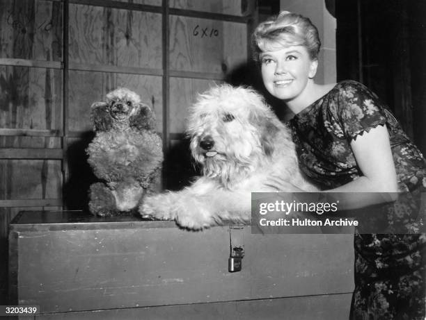 American actor Doris Day with mutt co-star Hobo on the set of director Charles Walters's film, 'Please Don't Eat the Daisies'. Also pictured is an...