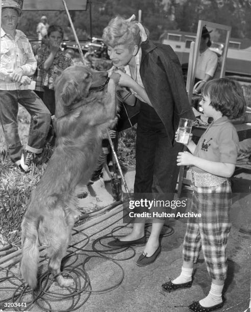 American actor Lucille Ball playing with a golden retriever while several children look on, on the set of director Vincente Minnelli's film, 'The...