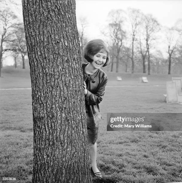 Lulu peering from behind a tree trunk in Hyde Park, London.