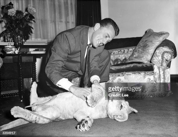 American film star Kirk Douglas with a lion cub called Spartacus which was presented to him by the director of Southport zoo in appreciation of...