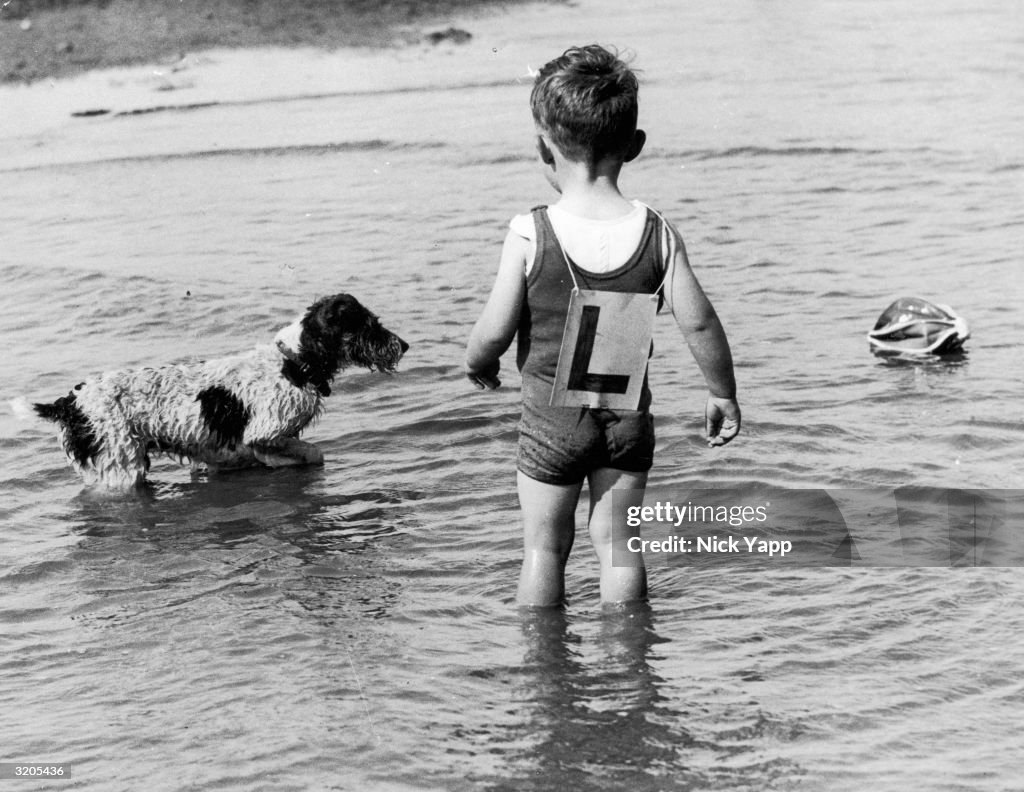 Learner Swimmer