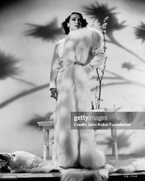 Mexican film star, Dolores Del Rio stands on a polar bear skin rug in a fur-trimmed coat.