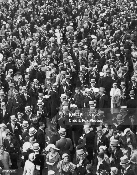 Crowds of horse-racing fans in the paddock at Ascot on Royal Hunt Cup day.