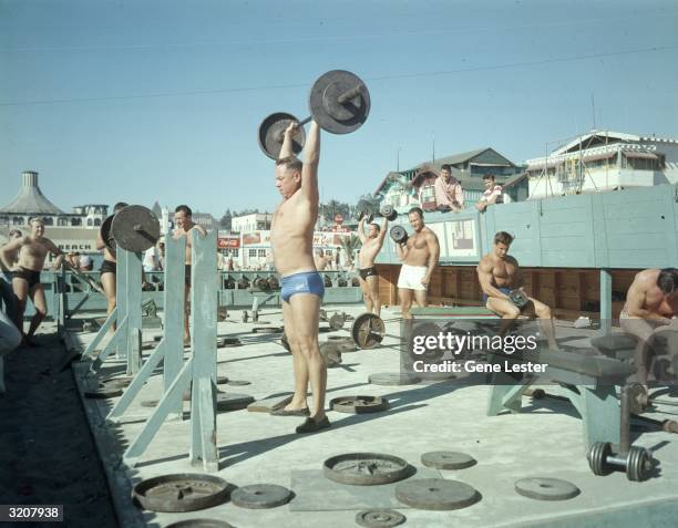Full-length image of men lifting weights in a special area walled off for weightlifting at Muscle Beach, Santa Monica, California. Several Mr....