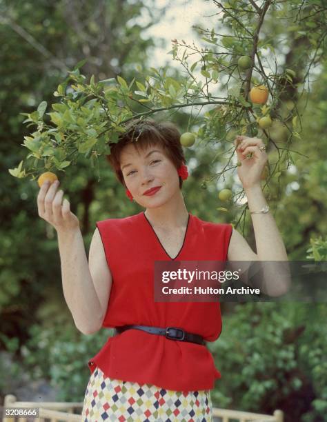 Portrait of American actor Shirley MacLaine holding an orange on the branch while posing beneath an orange tree outdoors. She wears a red V-neck...