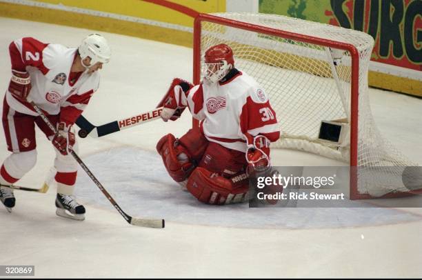 Chris Osgood of the Detroit Red Wings in action as Viacheslav Fetisov of the Red Wings looks on during a Stanley Cup Finals game against the...