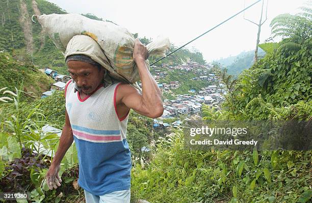 Gold worker hauls a 40 kilogram bag of raw ore to a small processing cetner on April 3, 2004 in the remote Mt. Diwata community on the southern...