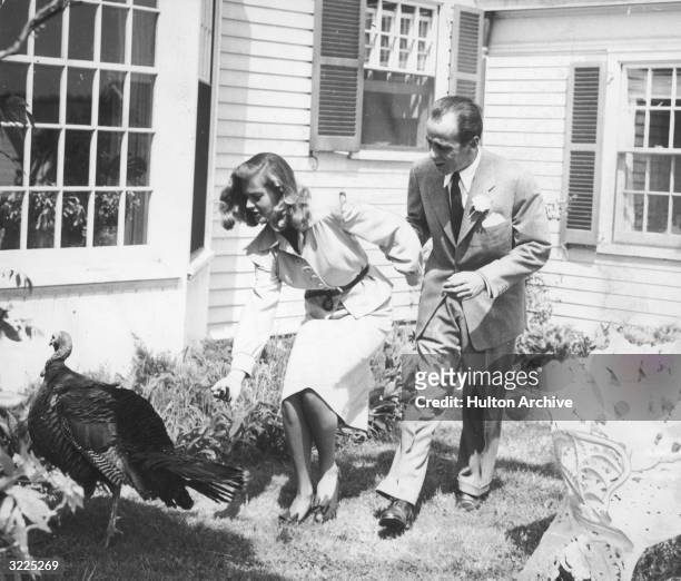 American actors Humphrey Bogart and Lauren Bacall chase a turkey outside a house on the day of their wedding, Malabar Farm, Mansfield, Ohio. Bogart...