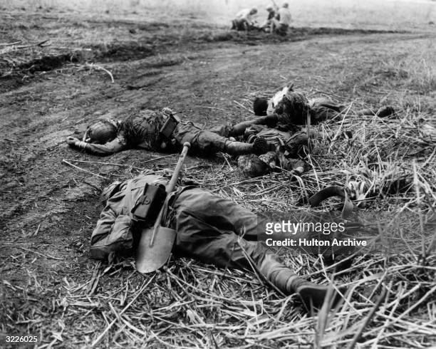 Three Japanese soldiers lie dead on the ground, killed in fighting for Raiders' Ridge in the Battle for Guadalcanal, Solomon Islands, 14th September...