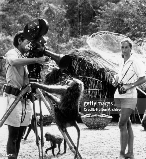 Full-length portrait of British zoologist Jane Goodall watching her photographer husband, Baron Hugo Von Lawick, adjust a camera, to which a baboon...