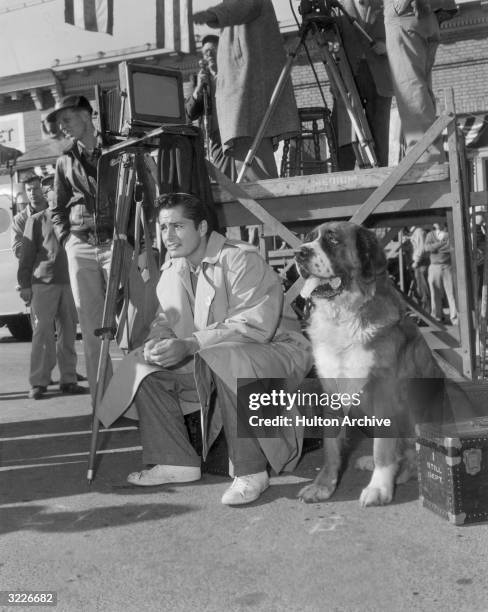 American actor John Derek crouches beside a St Bernard on the set of director Robert Rossen's film, 'All the King's Men'. Crew members work behind...