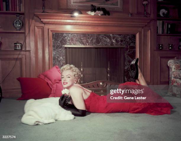 Portrait of American actor Marilyn Monroe as she holds a white carnation while lying on her stomach in front of a fireplace. Monroe wears a red...