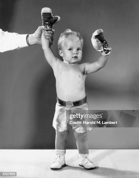 Boxing Baby Baby Boxing Gloves Photos and Premium High Res Pictures - Getty Images