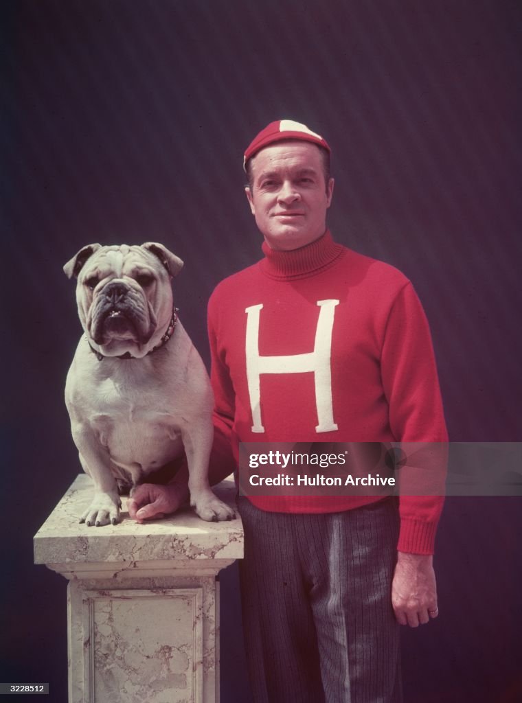 Bob & Dog