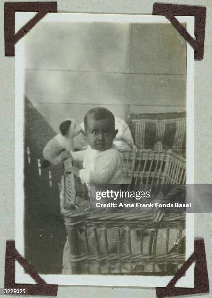 Anne Frank's older sister, Margot Frank, playing with a stuffed toy dog in her playpen on the balcony of her home in a snapshot from her photo album,...