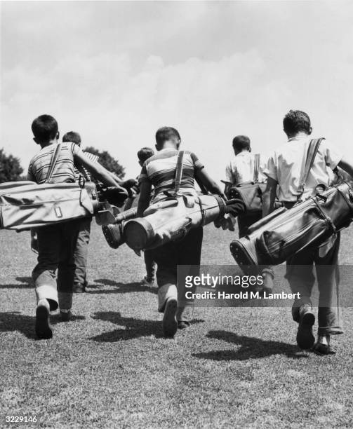 Six young boys walk away from the camera on a golf course, carrying bags of golf clubs.