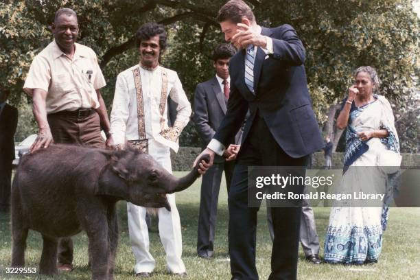 President Ronald Reagan holds the trunk of a baby elephant, presented to him in a ceremony by President Jayewardene of Sri Lanka. An attendant stands...