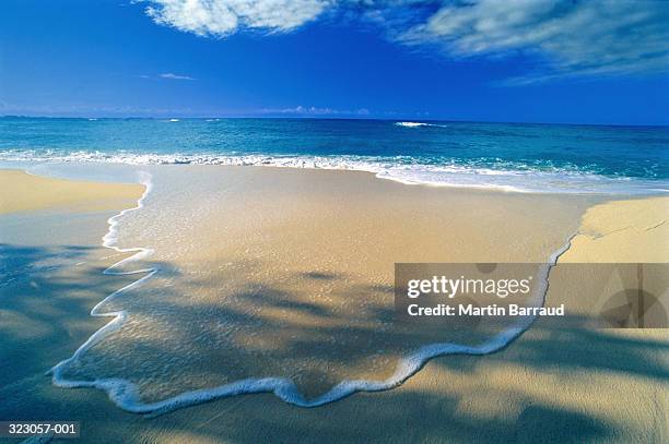 wave flowing across sandy beach - grand cayman stock pictures, royalty-free photos & images