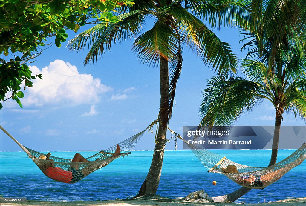 Couple relaxing in hammocks strung between palms on beach