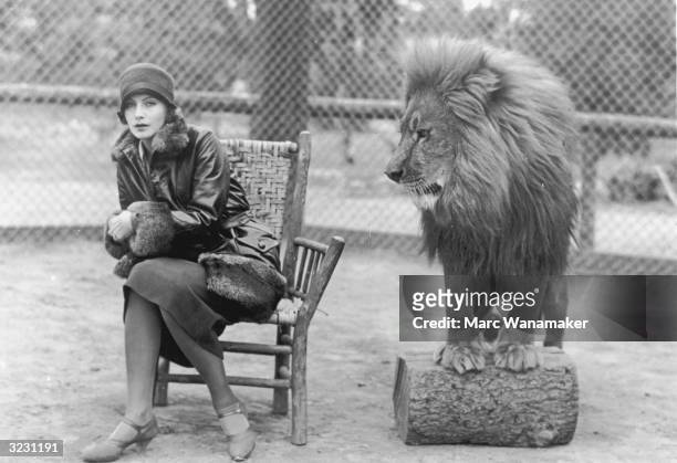 Swedish-born actress Greta Garbo sits in a chair next to Leo, the lion mascot for MGM studios.