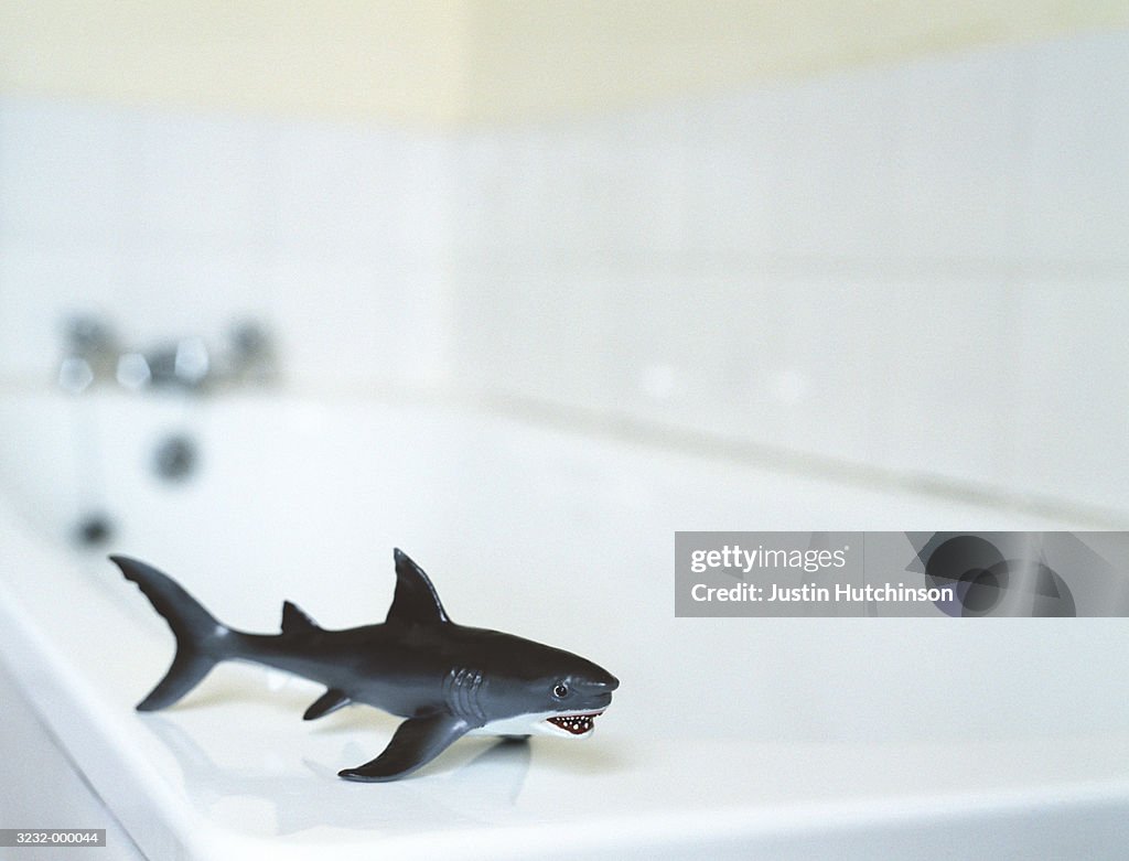 Toy Shark in Bathroom
