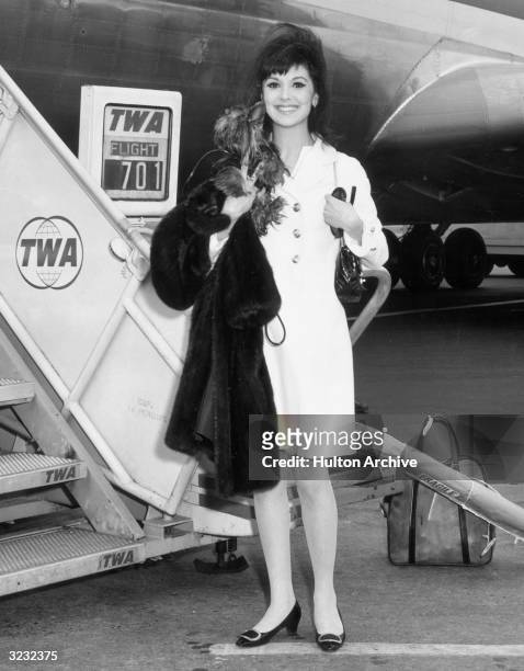 Full-length image of American actor Marlo Thomas, smiling and holding a fur coat and a small dog, beside a TWA jet, John F Kennedy International...