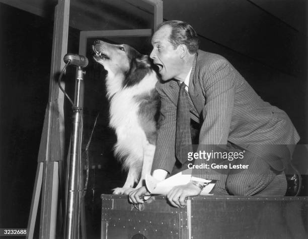 Lassie the dog and an unidentified radio disc jockey howl into a microphone, Hollywood, California. The disc jockey and Lassie are kneeling on a...