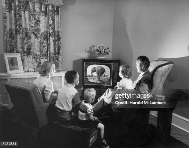 Family watching a television programme in which an elephant performs tricks.