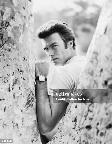 Portrait of American actor Clint Eastwood looking over his shoulder through the crook of a tree.