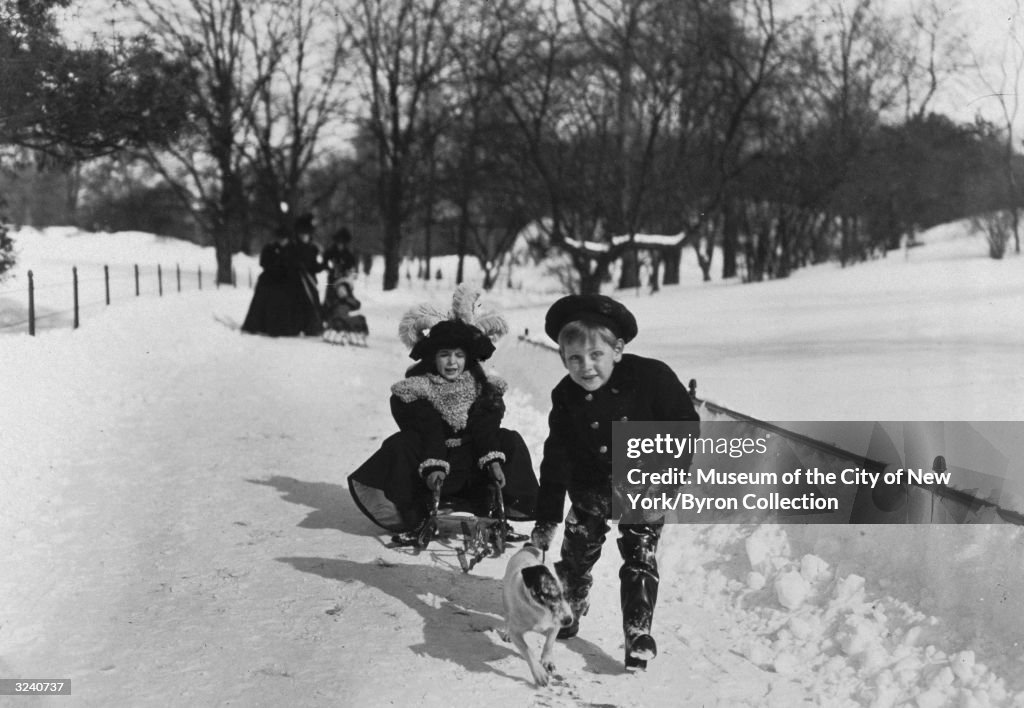 Central Park Snow