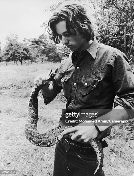 Robert Kennedy Jnr holding a puff adder during filming for a television series in Kenya about African wildlife entitled 'The Last Frontier'.