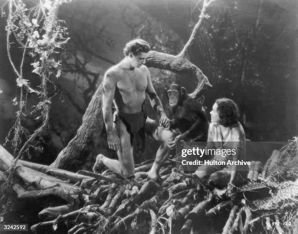 American actors Johnny Weissmuller as Tarzan and Maureen O'Sullivan as Jane hold hands with 'Cheetah' the chimpanzee, in a still from director Cedric...