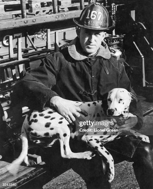 New York Fire Department fireman from Fire House sits on the running board of a fire truck with a Dalmatian in his lap, New York City.