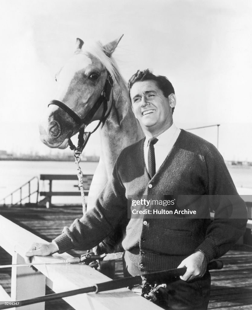 Mr Ed