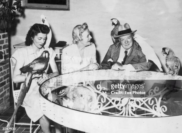 British statesman Winston Churchill makes some chatty new friends during a visit to the home of Colonel Frank Clarke in Miami Beach, accompanied by...