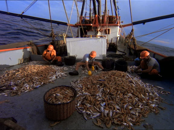 Deck Fish 286 Fish Deck Stock Videos, Footage, & 4K Video Clips - Getty Images