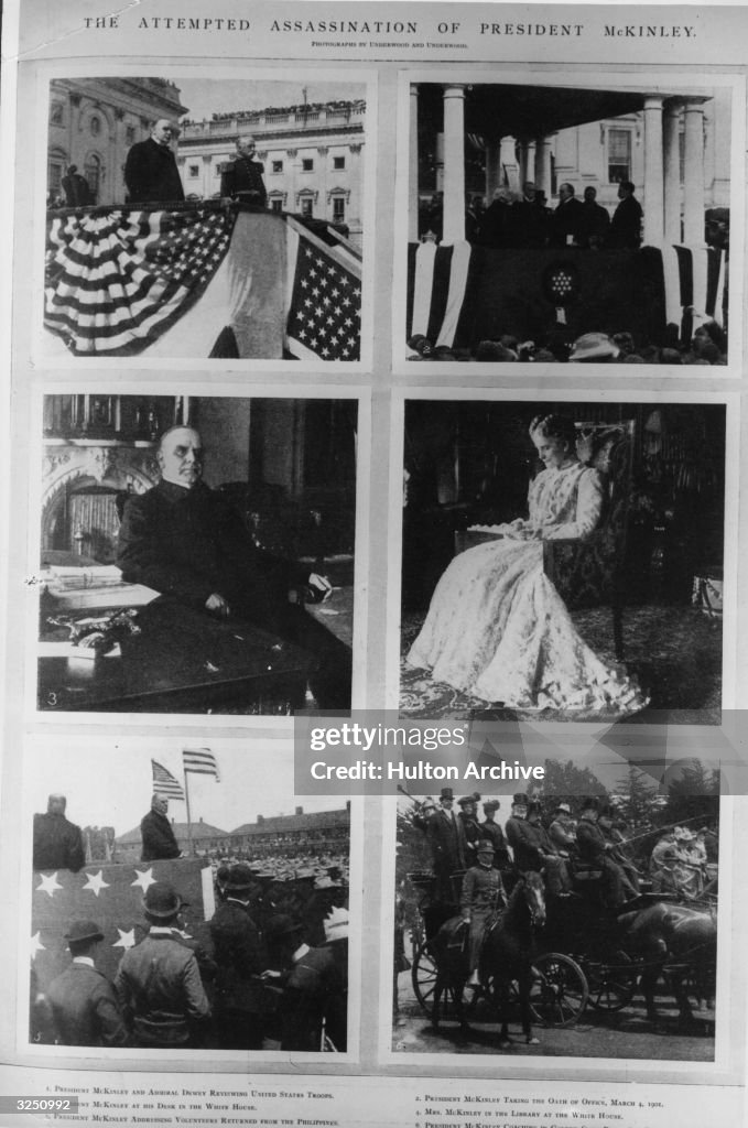 McKinley's Last Days
