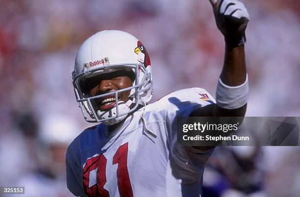 Frank Sanders of the Arizona Cardinals looks on during a game against the Minnesota Vikings at the Sun Devil Stadium in Tempe, Arizona. The Vikings...