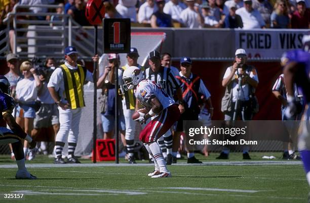 Frank Sanders of the Arizona Cardinals in action during a game against the Minnesota Vikings at the Sun Devil Stadium in Tempe, Arizona. The Vikings...