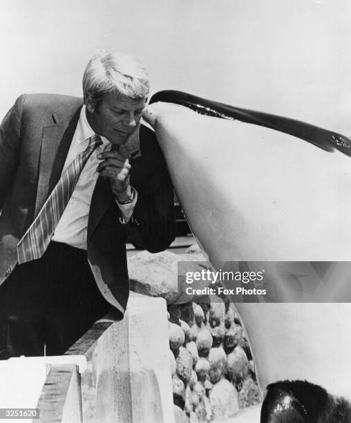Peter Graves, star of the popular TV series 'Mission Impossible', with Shamu the killer whale at Sea World in California.