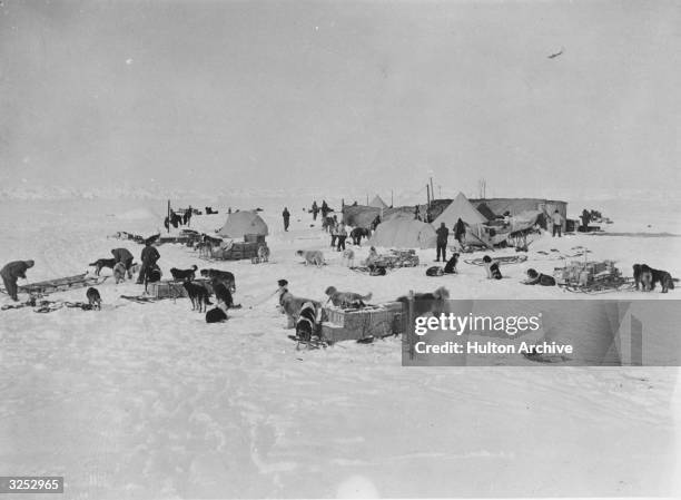 Circa 1914: Members of an expedition team led by Irish explorer Sir Ernest Henry Shackleton at work at a camp site, circa 1914 in Antarctica.