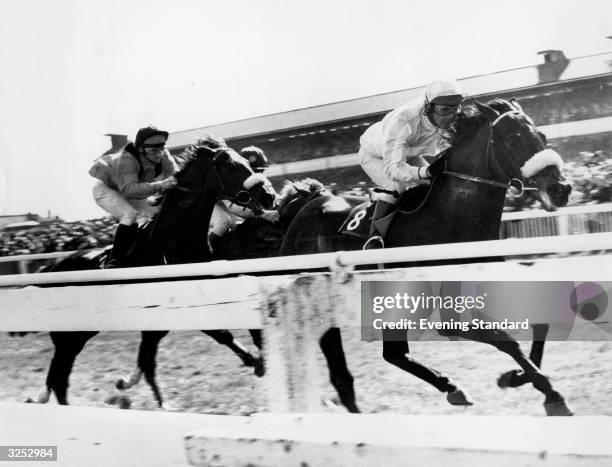 Lewis Riding 12,231 Kempton Racing Photos & High Res Pictures - Getty Images
