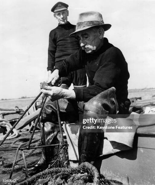 Year-old oyster fisherman Robert Hedgethorne cleans off the barnacles from his catch, at Brightlingsea.