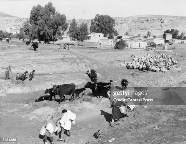 Turkish Cypriots flee to safety after a massacre in their village.