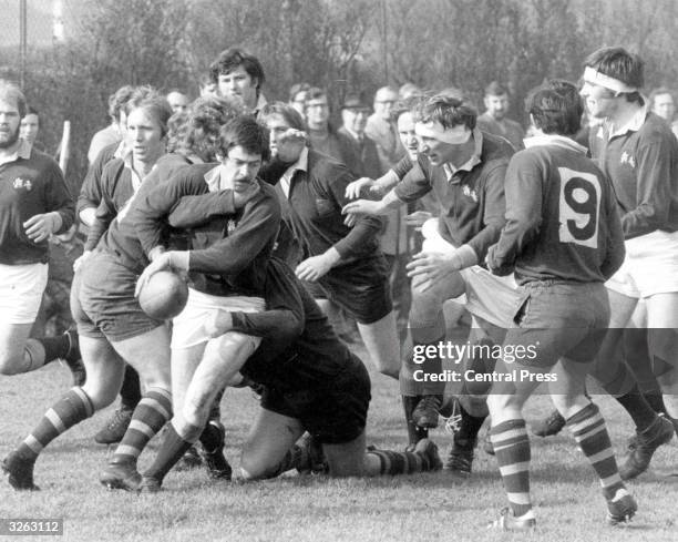 Bank manager Willie John McBride who has been named to lead the British Lions on their tour of South Africa, in action for the Northern Bank XV...