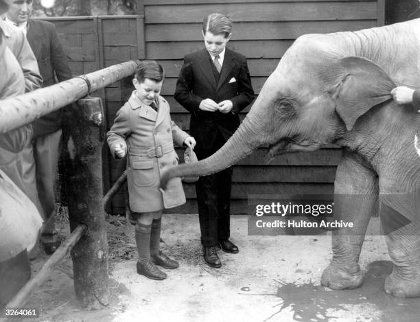 Edward Moore Kennedy, the youngest son of Joseph Patrick Kennedy is pictured aged 6 years with his brother Robert Francis Kennedy giving sugar to...